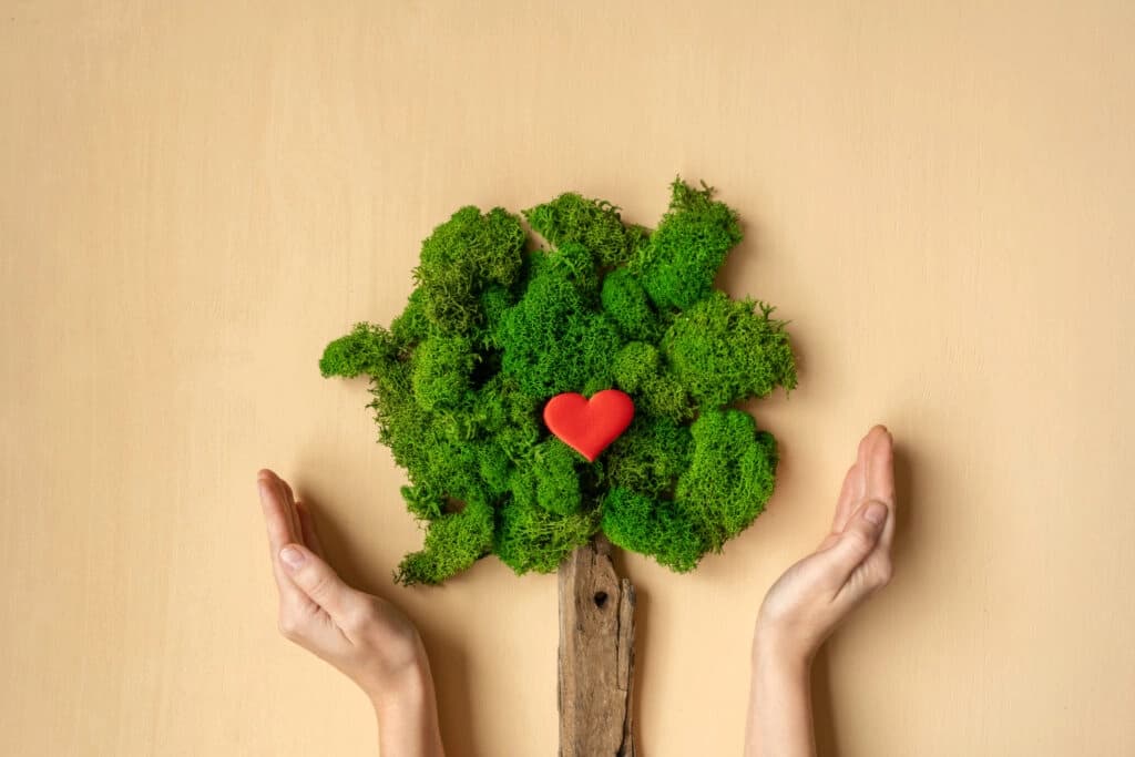 mains qui entourent un arbre pour l'écologie