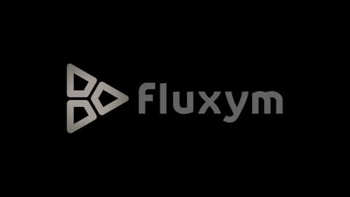 fluxym logo gris