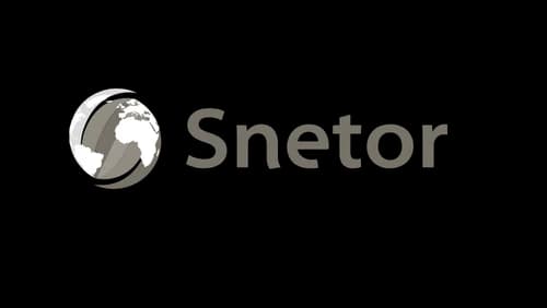 logo snetor gris