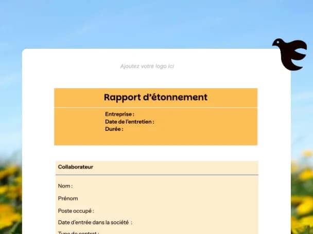 modele de rapport d'etonnement