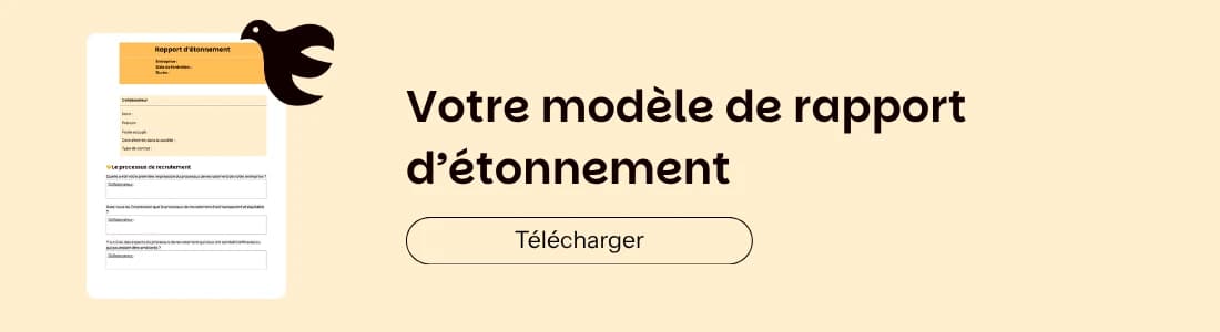 modèle de rapport d'étonnement